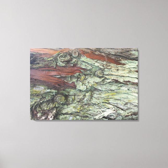 LIENZO QUADRO EM TELA CANVAS NATUREZA BRASIL (Anverso)