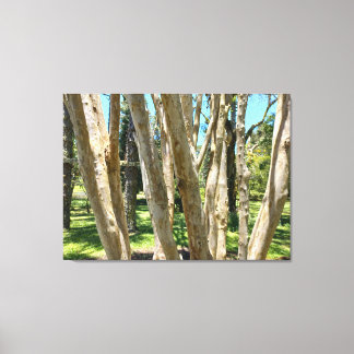 LIENZO QUADRO EM TELA CANVAS NATUREZA BRASIL