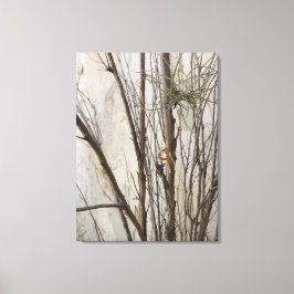 LIENZO QUADRO EM TELA CANVAS NATUREZA BRASIL