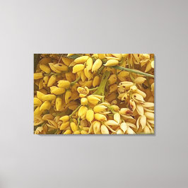 LIENZO QUADRO EM TELA CANVAS NATUREZA BRASIL