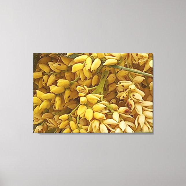 LIENZO QUADRO EM TELA CANVAS NATUREZA BRASIL (Anverso)