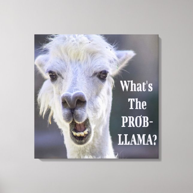 Lienzo ¿Qué es el Prob- Llama? Cute Funny LLAMA (Anverso)