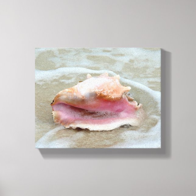 Lienzo Queen Conch en la playa (Anverso)