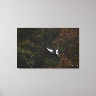 Lienzo Queen of the Forest - Steller's sea eagle