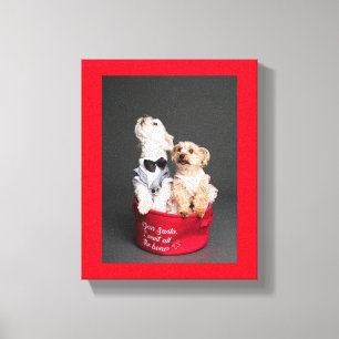 LIENZO QUERRÉ TODOS LOS HUESOS.