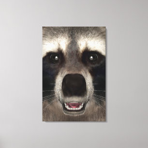 Lienzo Raccoon