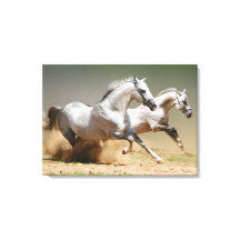 Race los caballos eólicos