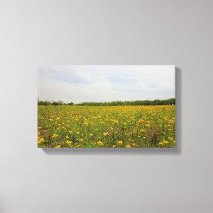 Lienzo Ragwort dorado, Ohio