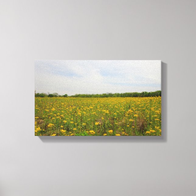 Lienzo Ragwort dorado, Ohio (Anverso)