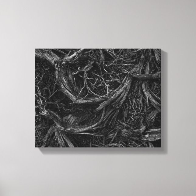 Lienzo Raíces de árbol (Anverso)