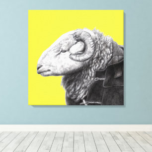 Lienzo Ram de Herdwick en Abrigo de Duffel (amarillo retr