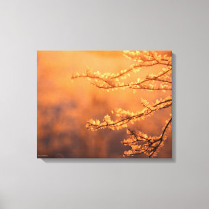 Lienzo Rama cubierta de escarcha a la luz de la mañana