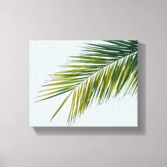 Lienzo rama de palmera (Anverso)