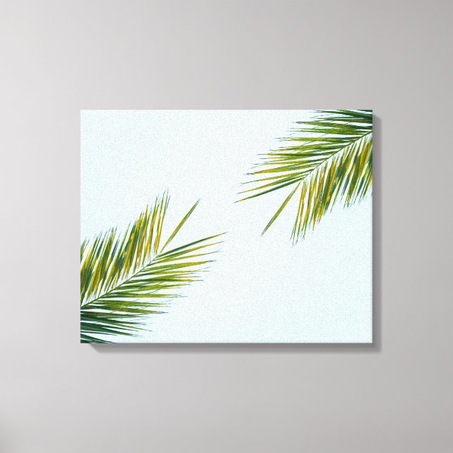 Lienzo rama de palmera (Anverso)
