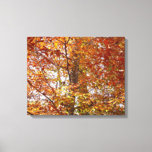 Lienzo Ramas de Hojas Naranjas Naturaleza de Otoño