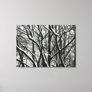 Lienzo Ramas de invierno