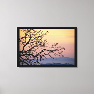 Lienzo Ramas de puesta de sol silueta por Sidharta Pascua