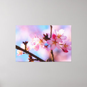 Lienzo Ramo de Flores de Sakura en la Sombra de un Árbol