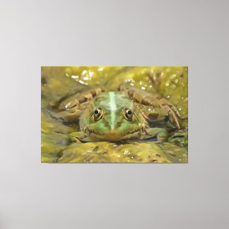 Lienzo Rana verde camuflada contra la cama del río Weathe