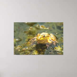 Lienzo Rana Verde En Pintura Acrílica De Agua Poco Profun