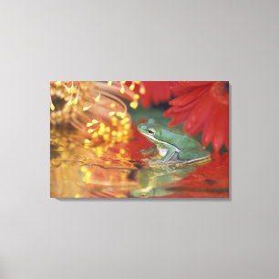 Lienzo Rana y reflejos florales. Crédito como: