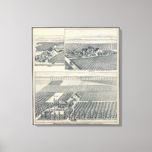Lienzo Rancho de Bonacourt, colonia de Washington,