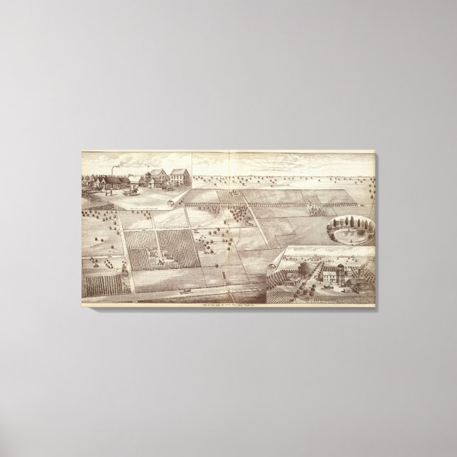 Lienzo Rancho Paige & Morton (Anverso)