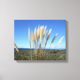 LIENZO RANCHO PALOS VERDES, CA #9