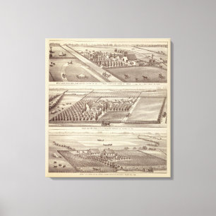 Lienzo ranchos de Kings Co