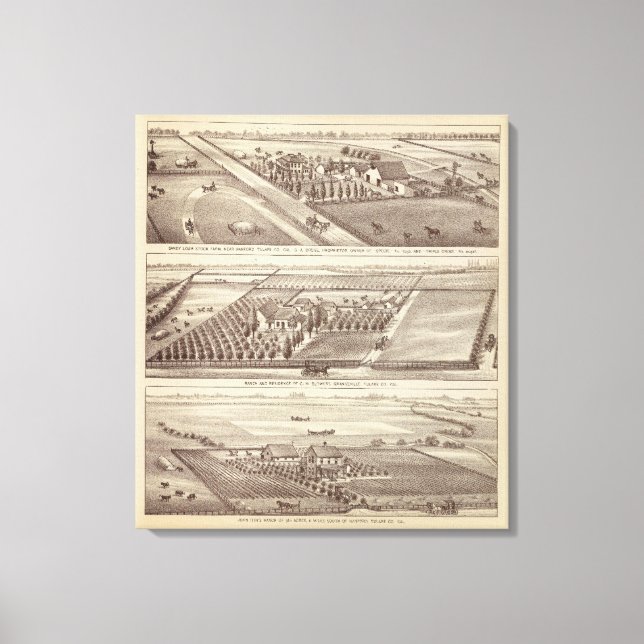 Lienzo ranchos de Kings Co (Anverso)