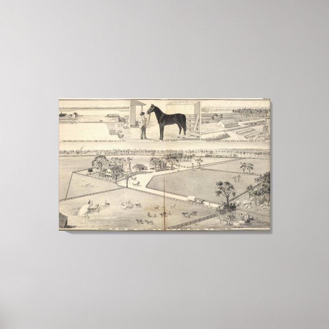 Lienzo Rangos de Woodland (Anverso)