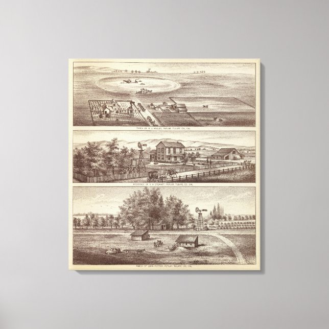 Lienzo Rangos populares (Anverso)