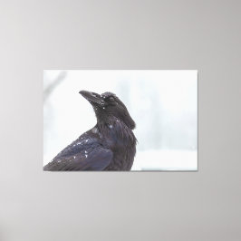 Lienzo Raven en la nieve