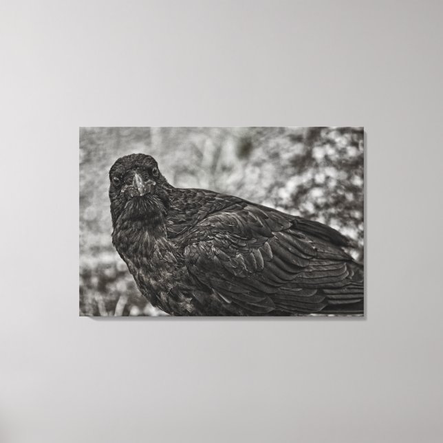 Lienzo Raven P9239 (Anverso)