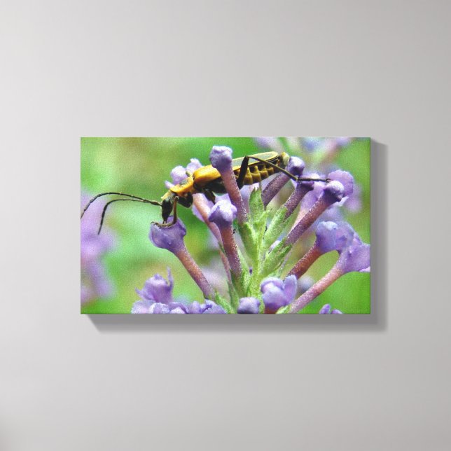 Lienzo ¡Rayo! (Anverso)