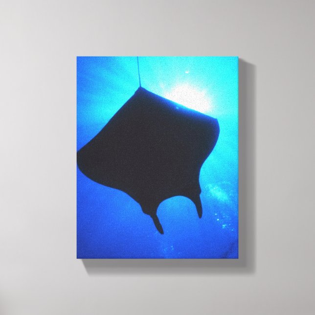 LIENZO RAYO DE MANTA (Anverso)