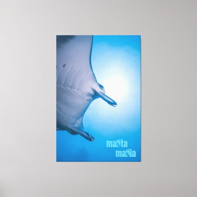 Lienzo Rayo de manta (Anverso)