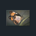 Lienzo real butterfly wall art, butterfly, butterfly<br><div class="desc">butterfly</div>