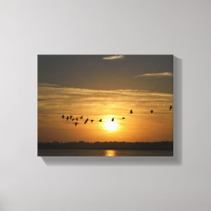 Lienzo Rebaño de aves de garza al atardecer