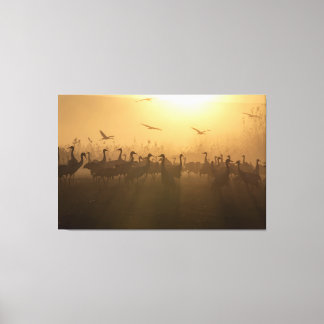 Lienzo Rebaño de aves en el lago Agamon HaHula, Israel