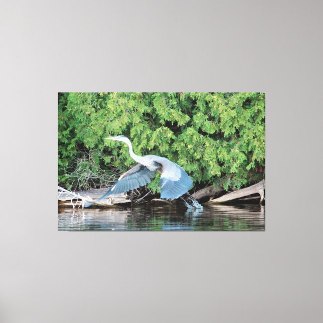 Lienzo Recoge Tus Pies (Anverso)