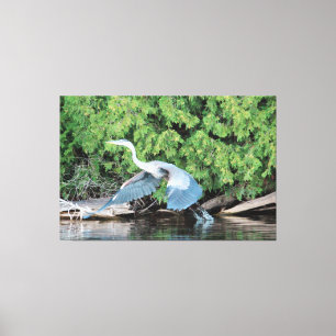 Lienzo Recoge Tus Pies