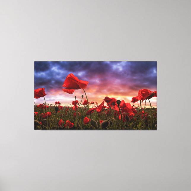 Lienzo Recordando | Campo de los Coppies (Anverso)