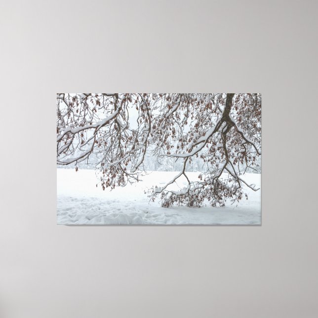 Lienzo Recubierto de Nieve (Anverso)