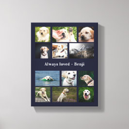 Lienzo Recuerdo para Amantes de las Mascotas