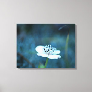 Lienzo Recuerdos de verano