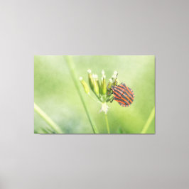 Lienzo Red Bug - Una botella más no duele