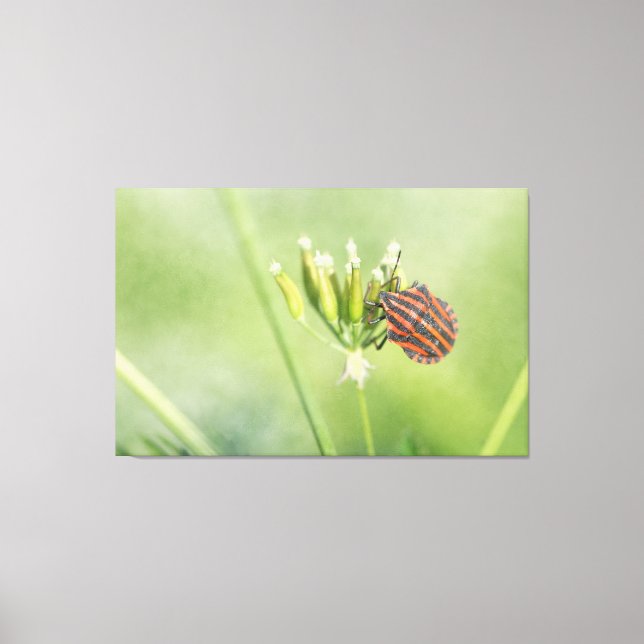 Lienzo Red Bug - Una botella más no duele (Anverso)