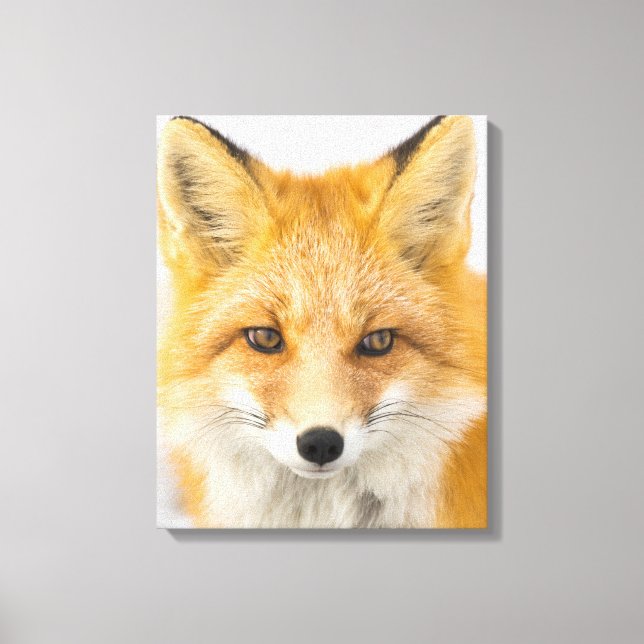 Lienzo Red Fox Portrait (Anverso)