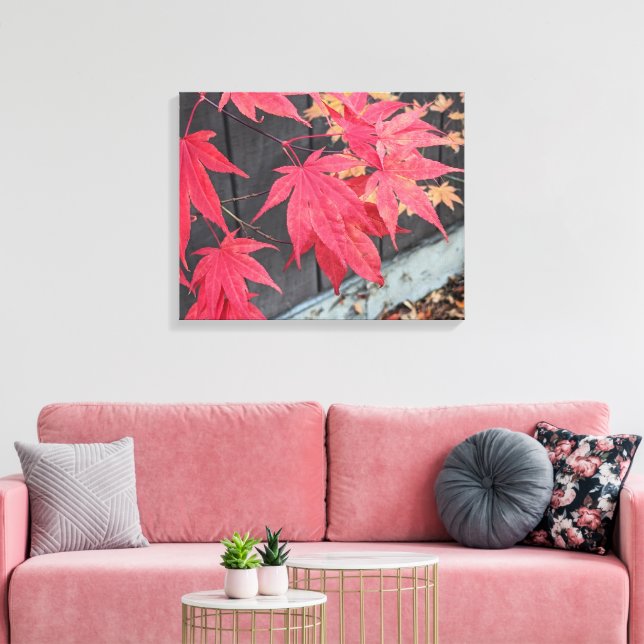 Lienzo Red Japanese Maple Leaves Botanical (Insitu (Sala de estar))